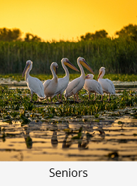 Rumanía: el encanto de los Cárpatos y el Delta del Danubio