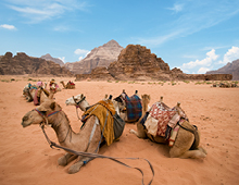 Oferta Jordania con Wadi Rum